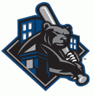 Newark Bears 2009-2010 Partial Logo iron on transfers for T-shirts